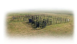 RSOSCS_4 Rough Stock Open Corral System